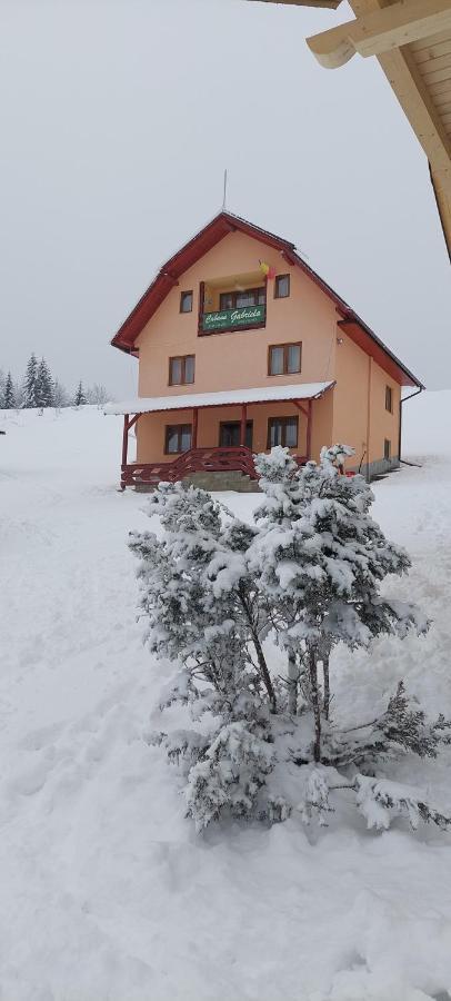 Cabana Gabriela Villa Gîrda de Sus Exterior foto